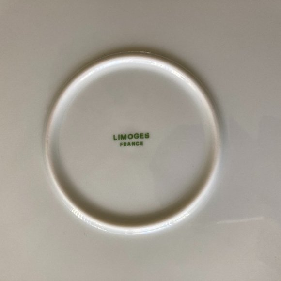 Beautiful Vintage Limoges Serving Plate from France - Picture 6 of 6